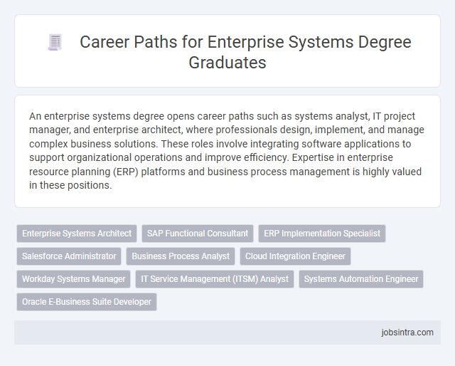 Career Paths for Enterprise Systems Degree Graduates