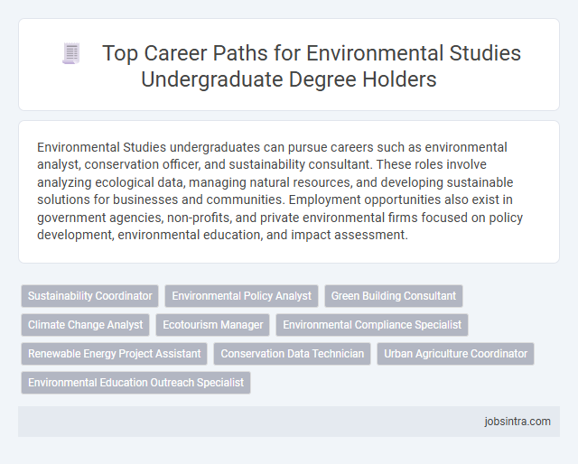 Top Career Paths for Environmental Studies Undergraduate Degree Holders