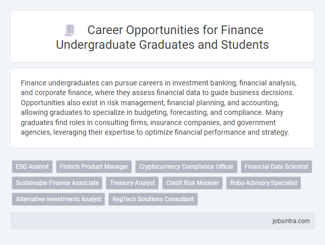Career Opportunities for Finance Undergraduate Graduates and Students