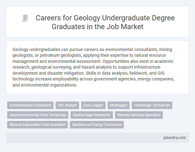 Careers for Geology Undergraduate Degree Graduates in the Job Market