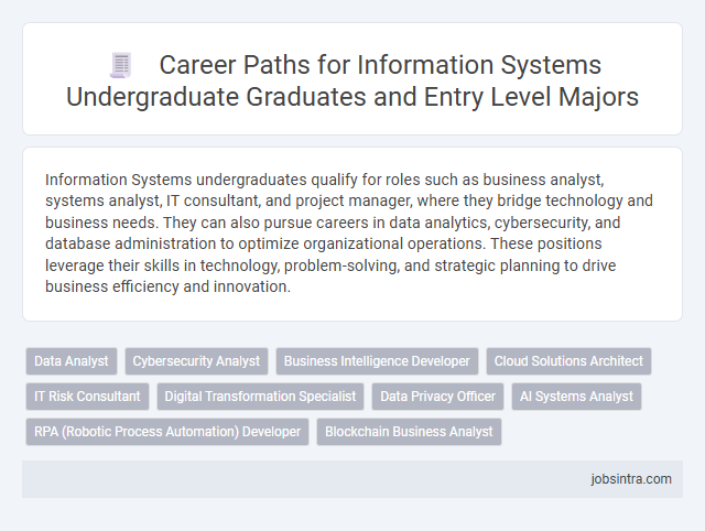 Career Paths for Information Systems Undergraduate Graduates and Entry Level Majors