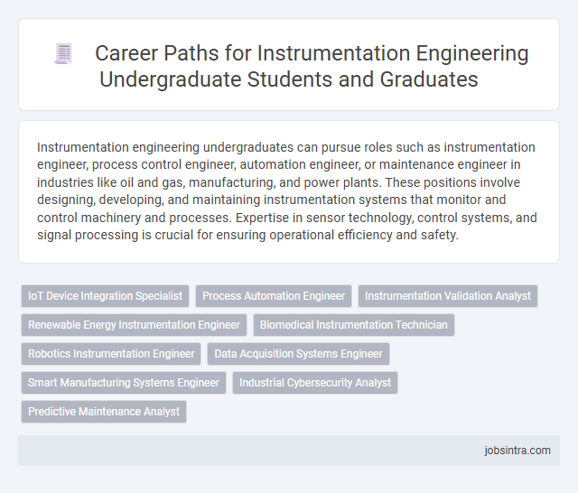 Career Paths for Instrumentation Engineering Undergraduate Students and Graduates