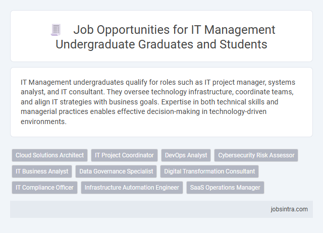 Job Opportunities for IT Management Undergraduate Graduates and Students