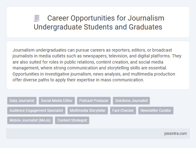 Career Opportunities for Journalism Undergraduate Students and Graduates