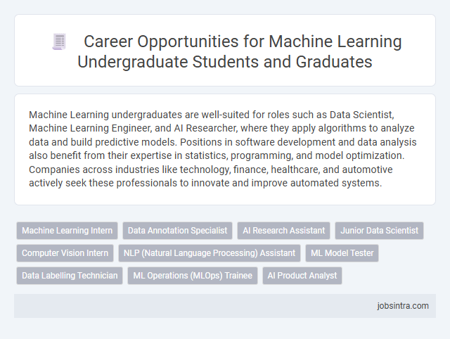 Career Opportunities for Machine Learning Undergraduate Students and Graduates