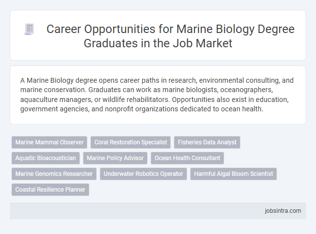 Career Opportunities for Marine Biology Degree Graduates in the Job Market