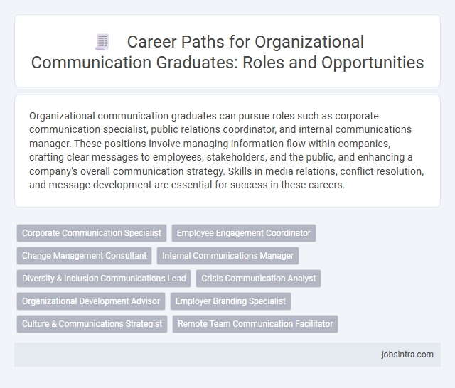 Career Paths for Organizational Communication Graduates: Roles and Opportunities