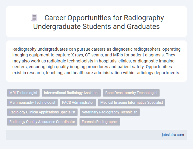 Career Opportunities for Radiography Undergraduate Students and Graduates