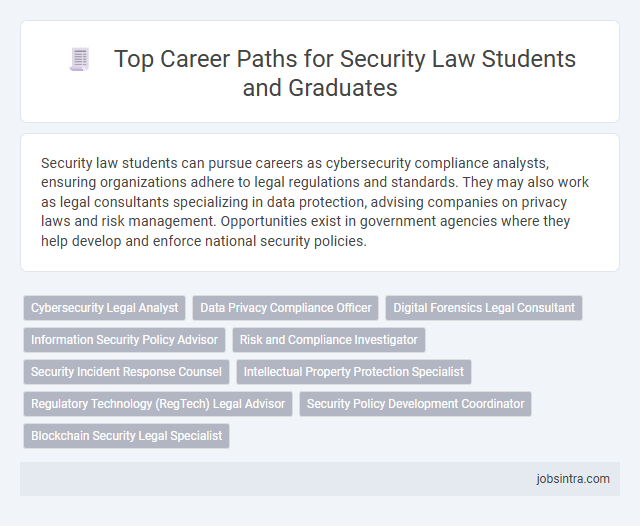 Top Career Paths for Security Law Students and Graduates