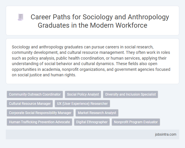Career Paths for Sociology and Anthropology Graduates in the Modern Workforce