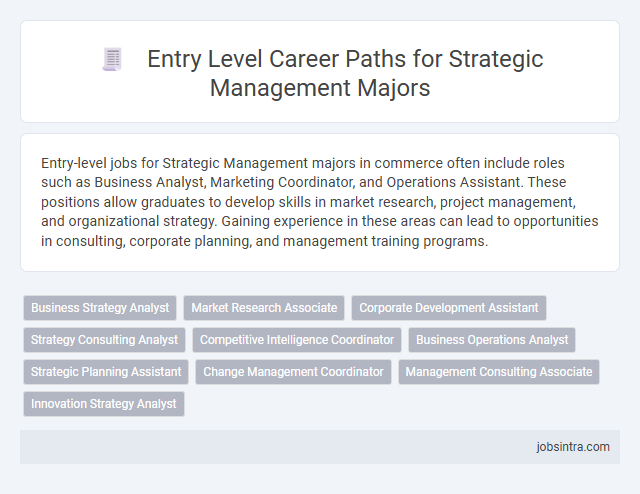 Entry Level Career Paths for Strategic Management Majors