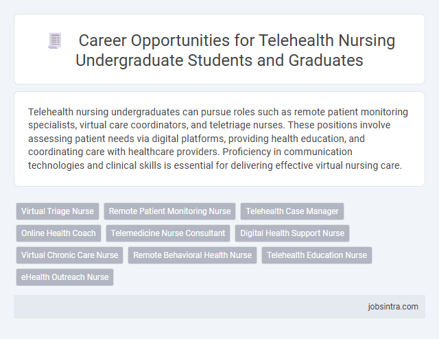 Career Opportunities for Telehealth Nursing Undergraduate Students and Graduates