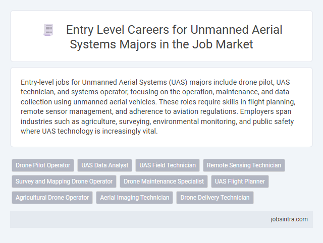 Entry Level Careers for Unmanned Aerial Systems Majors in the Job Market