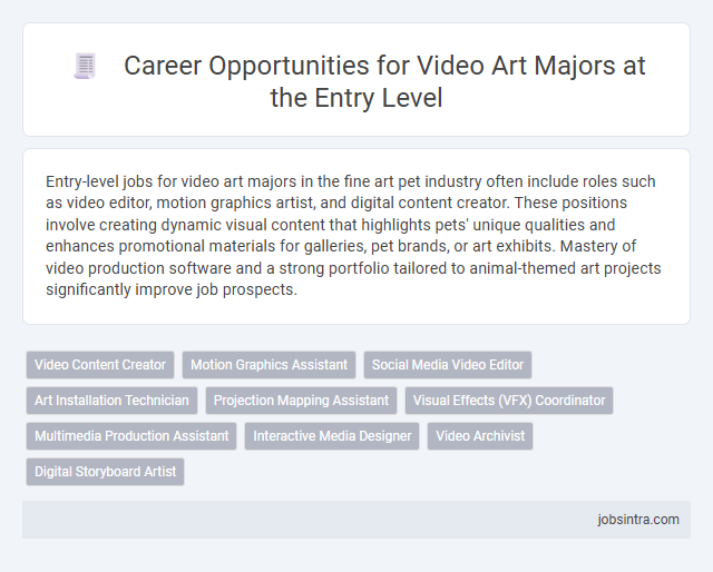 Career Opportunities for Video Art Majors at the Entry Level