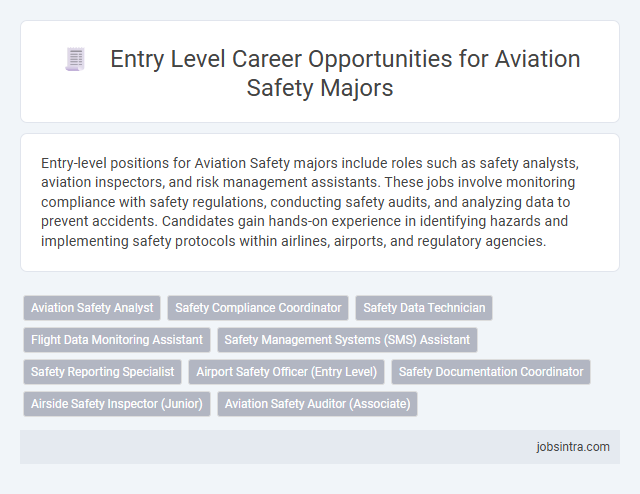 Entry Level Career Opportunities for Aviation Safety Majors