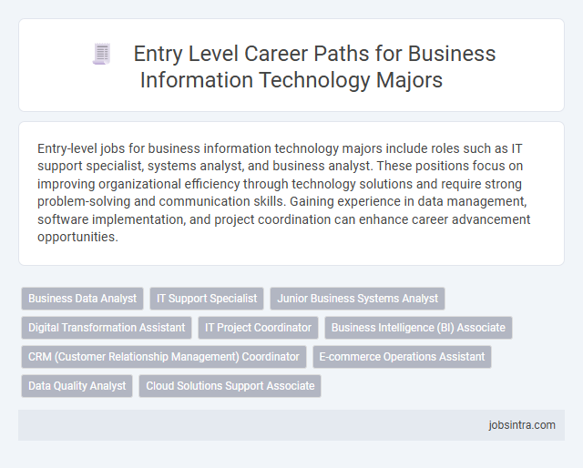Entry Level Career Paths for Business Information Technology Majors