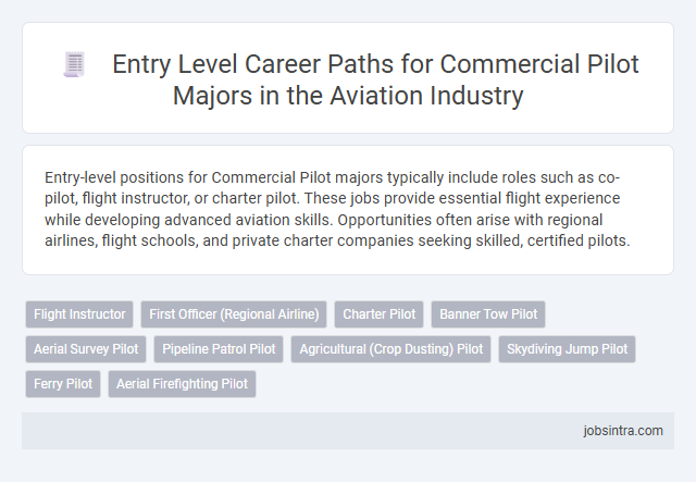 Entry Level Career Paths for Commercial Pilot Majors in the Aviation Industry