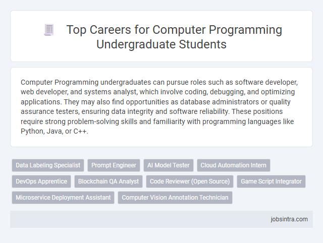 Top Careers for Computer Programming Undergraduate Students