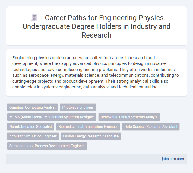 Career Paths for Engineering Physics Undergraduate Degree Holders in Industry and Research