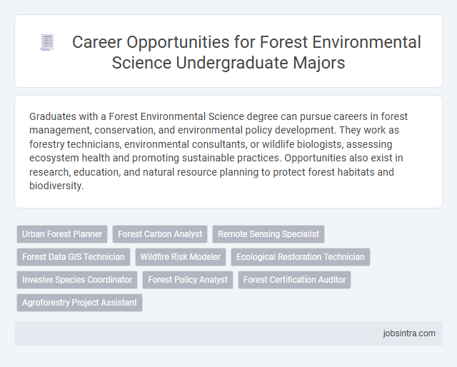 Career Opportunities for Forest Environmental Science Undergraduate Majors
