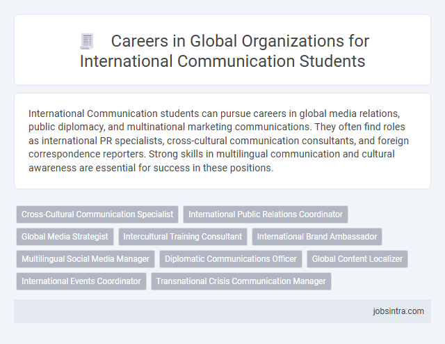 Careers in Global Organizations for International Communication Students