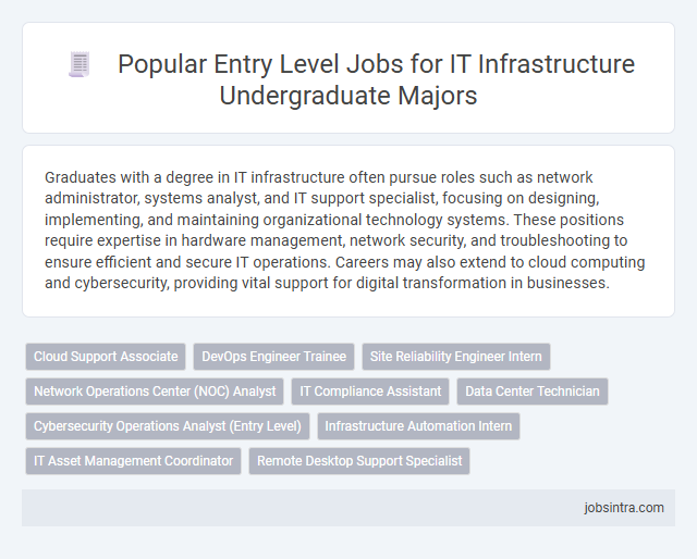 Popular Entry Level Jobs for IT Infrastructure Undergraduate Majors