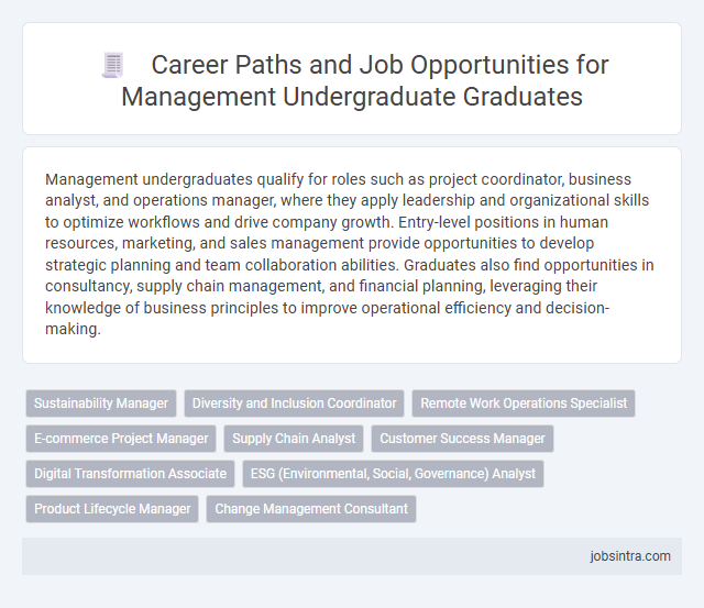 Career Paths and Job Opportunities for Management Undergraduate Graduates