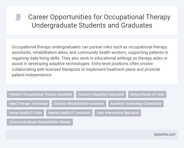 Career Opportunities for Occupational Therapy Undergraduate Students and Graduates