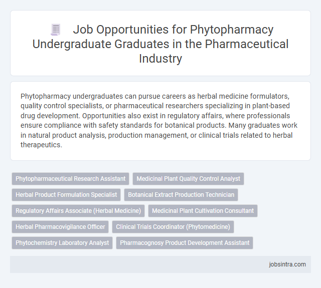 Job Opportunities for Phytopharmacy Undergraduate Graduates in the Pharmaceutical Industry