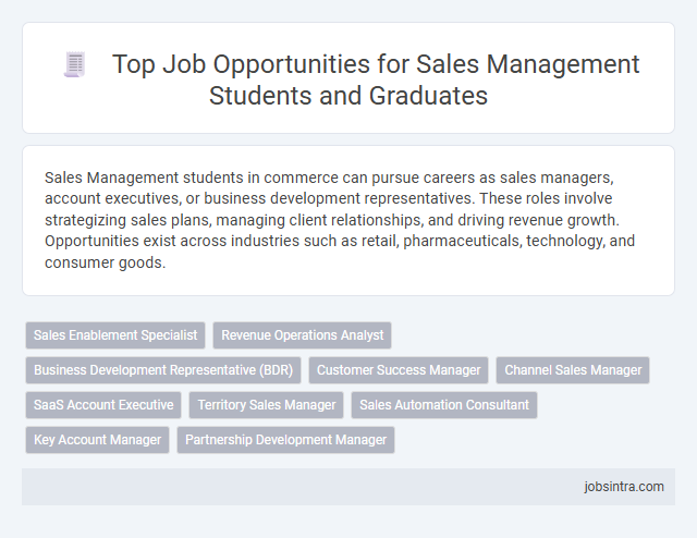 Top Job Opportunities for Sales Management Students and Graduates