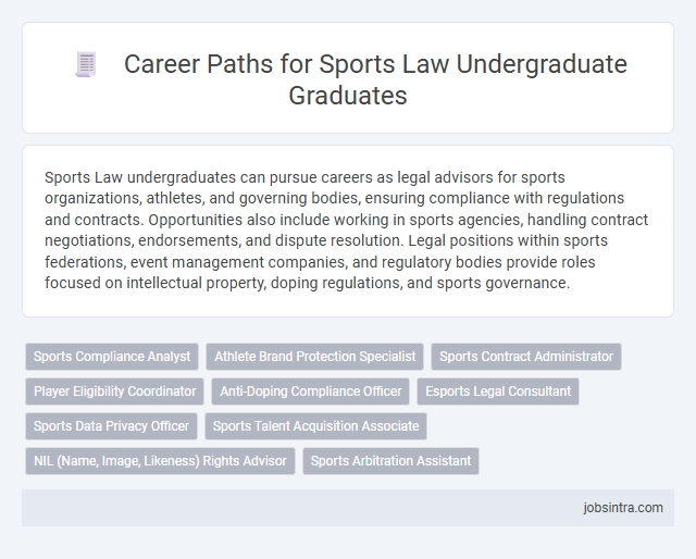 Career Paths for Sports Law Undergraduate Graduates