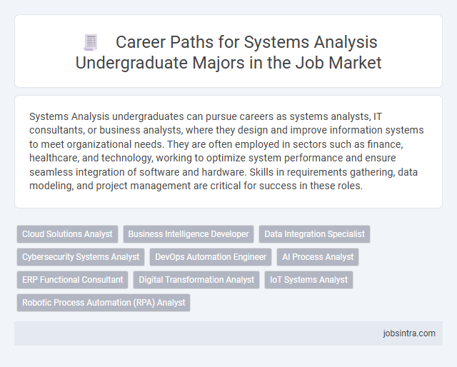 Career Paths for Systems Analysis Undergraduate Majors in the Job Market